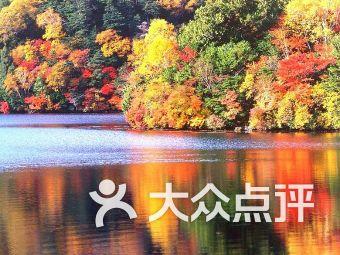 一年之内输掉8场外战!19岁天才林诗栋,是张继科接班人吗?