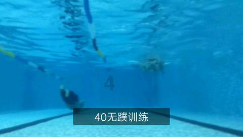 矮化密植大樱桃抢“鲜”上市了
